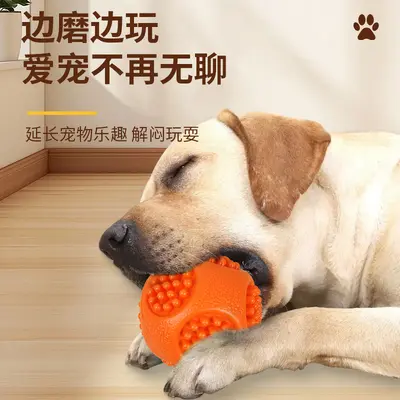 Interactive Squeaky Ball Toy for Cats and Dogs, Self-Play Sound Toy - 3