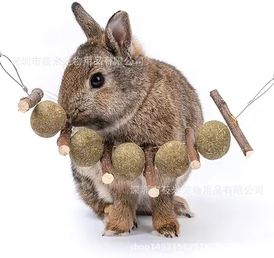 Dried Apple Branch Chew Sticks for Rabbits and Hamsters