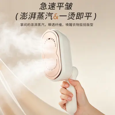 Portable Mini Steam Iron and Handheld Garment Steamer