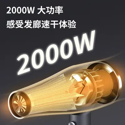 Blue Light High-Power Hair Dryer, Multi-Level Settings, Overheat Protection