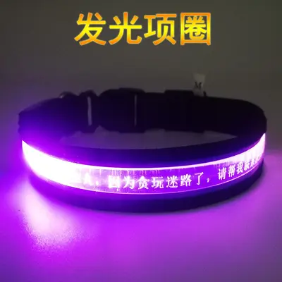 LED-аксессуары для домашних животных, светящийся ошейник для собак с USB-зарядкой, лазерная гравировка имени, поводок-ошейник против потери для выгула собак, домашние питомцы