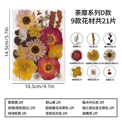 DIY Photo Frame Craft Kit with Dried Real Flowers and Plant Specimens - 10