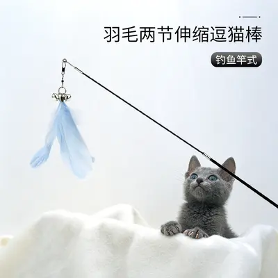 Retractable Cat Toy with Carbon Fiber Rod and Solid Wood Handle - 3