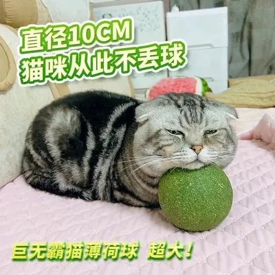 Dev kedi nanesi topu, 10 cm, diş temizleyici - 2
