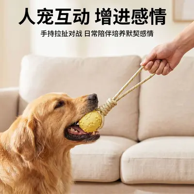 Chew-Resistant Elastic Rope Knot Ball for Dogs, Teeth Cleaning