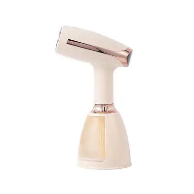 Handheld steam iron with brush head, wet and dry