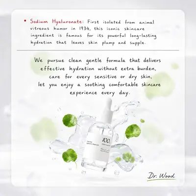 跨境TK现货Amz新趋势 Hyaluronic Acid 水润精华 质地清透柔润