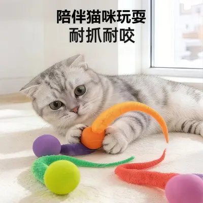 Katzen-Federangel mit Raupe und elastischem Ball - 4