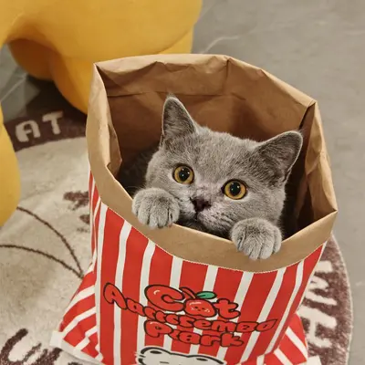 Kedi Oyuncak Tüneli, Kraft Kağıt Torba, Kendi Kendine Oynayan Kedi Tüneli - 1