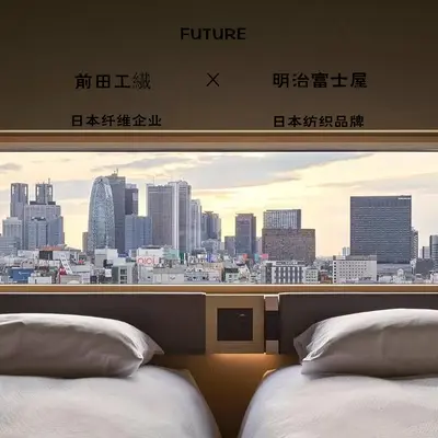 Meiji Fujiya Cotton Pillow Insert, Five-Star Hotel Quality, Home and Dormitory Use