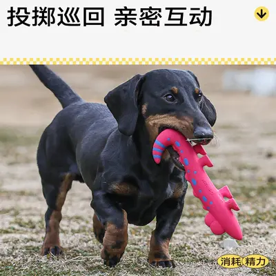 QMONSTER蜥蜴乳胶玩具中小型犬小狗发声解闷宠物狗耐咬幼泰迪磨 - 4