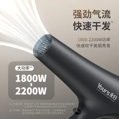 Yongri 2200W Blue Light Hair Dryer, Salon Use, 3C Certified