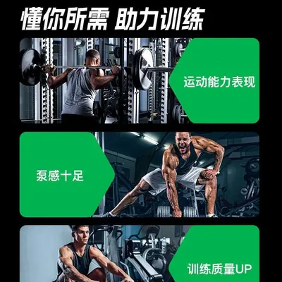 UP Training Kreatin-Monohydrat, Glutamin, BCAA-Supplement