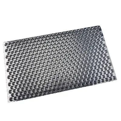 Thickened Rice Seedling Tray, Transparent, 434-Hole