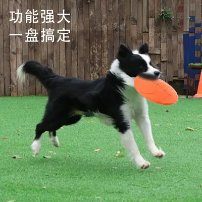 DOG-O-SOAR Köpek Frizbisi, Isırmaya Dayanıklı ve Yüzer, Eğitim Atma Diski