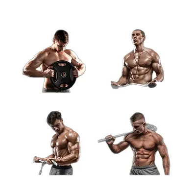 肌肉科技纯肌酸高纯度creatine monohydrate一水肌酸粉旗舰店
