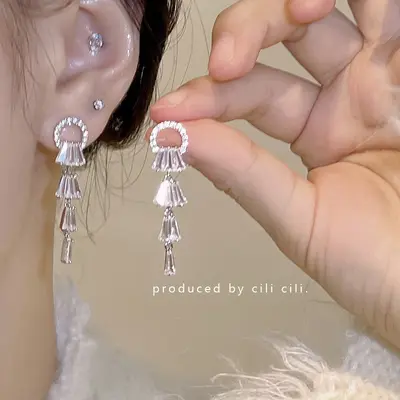 S925 Silbernadel elegante Diamant Quaste Blumen Ohrringe Damen erschwinglicher Luxus hochwertiger langer Ohrring beliebter Ohrring Herbst und Winter