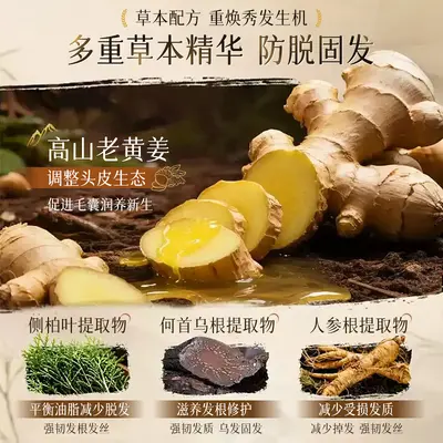防脱固发洗发水 生姜侧柏叶何首乌养发护发洗发露国妆特字洗头膏 - 5
