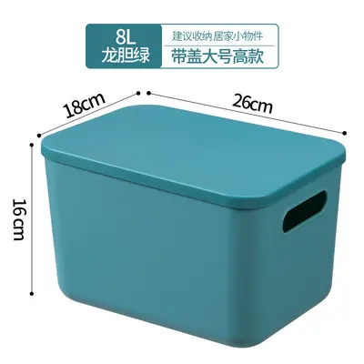 Plastic Storage Box, Large Capacity - 12