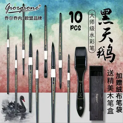 Giorgione 24-Piece Nylon Hair Brush Set with Portable Box - 9