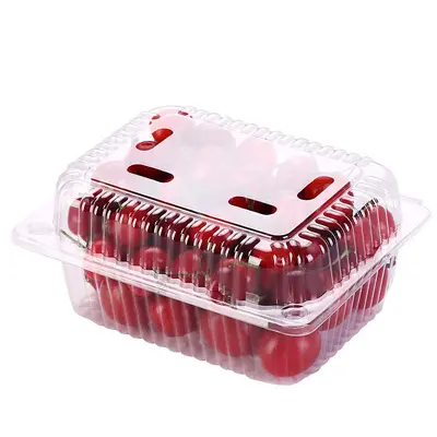 Einweg-Obst-Box, Lebensmittel-Kunststoffbox für Wassermelone und Erdbeeren, Bento-Obst-Schneidebox, durchsichtige Einweg-Obst- und Gemüsebox