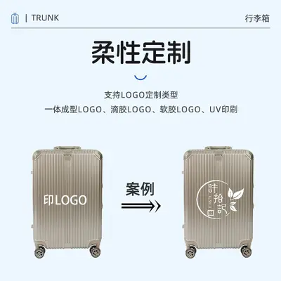 Aluminum Frame PC Luggage with Spinner Wheels, Business Trolley Case - 4