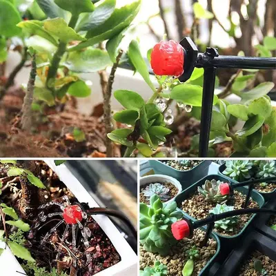 Achtloch-Tropfer für Obstbaum-Tropfbewässerung