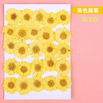 Dried and Pressed Flower DIY Material Pack for Resin Crafts - 11
