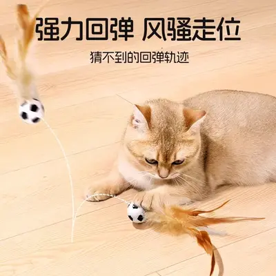 新品猫咪玩具弹力球羽毛跳跳球宠物自嗨解闷神器逗猫玩具宠物用品