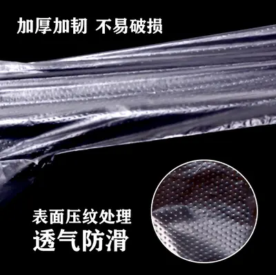 Individually Wrapped Food-Grade Transparent PE Disposable Gloves