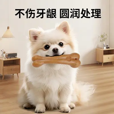 Durable Dog Chew Bone for Small and Medium Dogs, In Stock - 4
