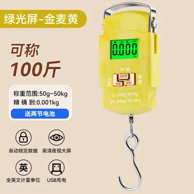 High-precision fishing express scale portable hand scale electronic weighing scale gram scale accurate vegetable sales spring hanging scale electronic balance - 13