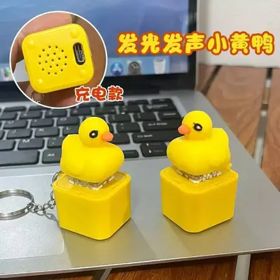 Light and Sound Seagull Stress Relief Keychain, Type-C Rechargeable - 12