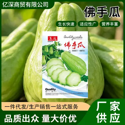 Chayote tohumu, yüksek verimli, dört mevsim ekilebilir
