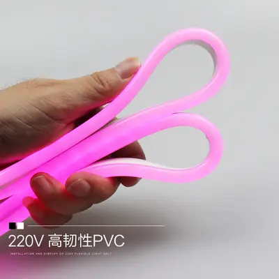 220V LED flexibles Neon-Lichtband wasserdicht Silikon-Lichtleiter 12V helles Charakterlichtband 110V grenzüberschreitend