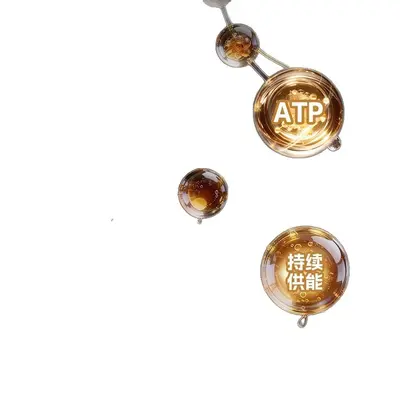 氮泵粉一水肌酸谷氨酰胺支链氨基酸耐力爆发力恢复健身补剂