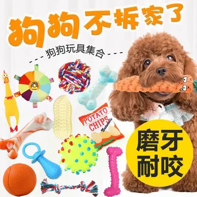 Squeaky Plush Cotton Rope Dog Toy for Small and Medium Dogs - 4