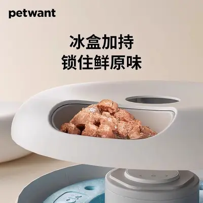 Paiwang Akıllı APP Kontrollü Kedi Otomatik Mama Makinesi 110V
