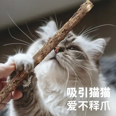 Silvervine Chew Stick 48cm Long Handle, Catnip Cat Teaser Wand Toy - 5