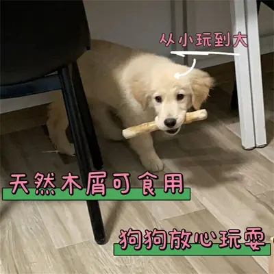 Natural Coffee Wood Dog Chew Stick, Durable Teeth Cleaning Toy - 5
