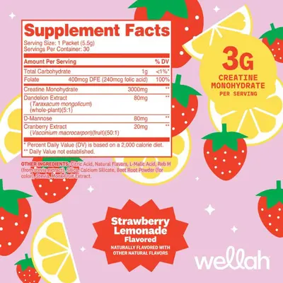 Wellah Kreatin-Monohydrat Pulver - 3