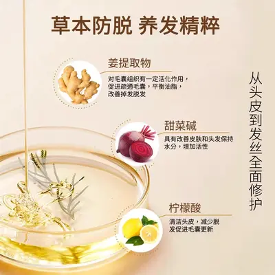 Ginger and Black Reishi Anti-Dandruff Shampoo - 4