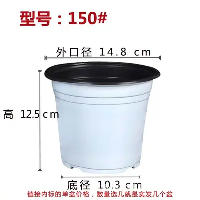 White Two-Color Seedling Pot for Flower Nursery Planting - 13