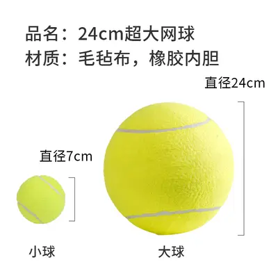 Büyük Irk Köpek Oyuncak Topu, 24 cm Tenis Topu - 5