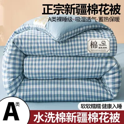 Class A Xinjiang Cotton Quilt, Thickened, Single Size - 7