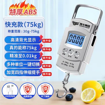 Kaifeng Taşınabilir Elektronik Terazi Portatif Yüksek Hassasiyetli Ev Bagaj Terazisi Kancalı Terazi Mini Küçük Kesin Yay Terazisi - 9
