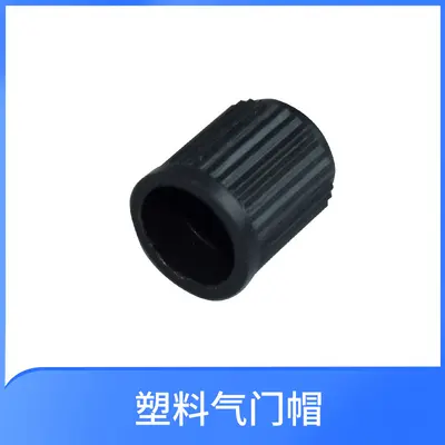 Plastic Car Valve Stem Cap, Electric Bicycle and Motorcycle Tire Dust Cap - 7