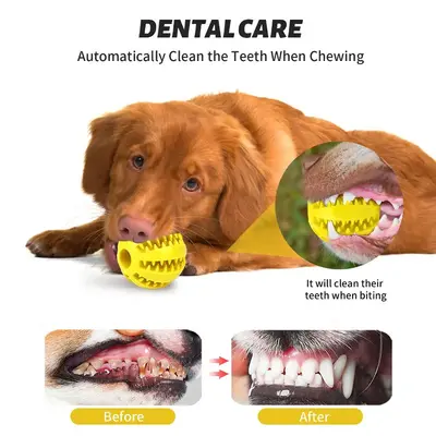 Elastic Dental Treat Ball for Dogs Bite-Resistant Teeth Cleaning - 4