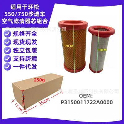 Luftfilter-Einsatz P3150011722A0000 für Huansong 550/750 Strandbuggy
