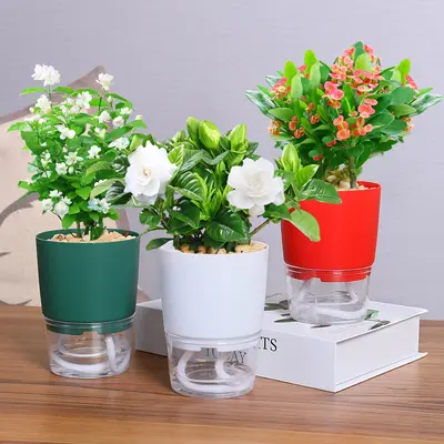 Transparent Double-Layer Self-Watering Planter, Large Diameter